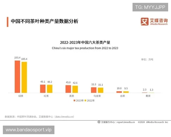 以九博国际为中心的综合发展与品牌战略解析及行业前景展望研究分析
