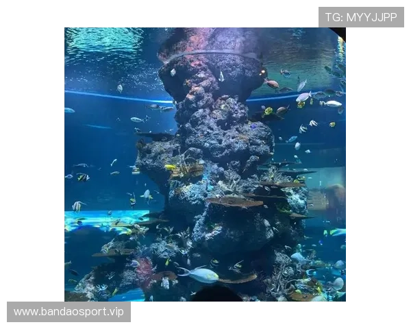 以圣淘沙为中心的新加坡海岛度假深度游攻略与休闲体验全指南推荐版